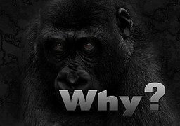 近三個月為什么不要招惹財務(wù)？