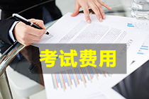 2022年上海初級會計職稱報名考試費用是多少？