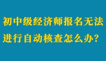 初中級(jí)經(jīng)濟(jì)師報(bào)名無法進(jìn)行自動(dòng)核查怎么辦？