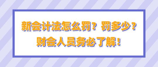新會(huì)計(jì)法怎么罰？罰多少？財(cái)會(huì)人員務(wù)必了解！