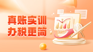 真賬實訓(xùn)，辦稅更簡