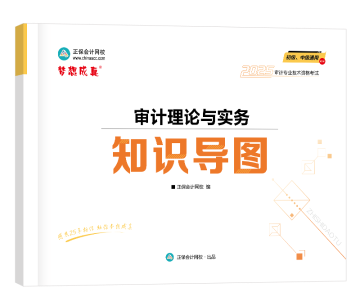 2025-知識導(dǎo)圖-審計(jì)理論與實(shí)務(wù)（橫版）